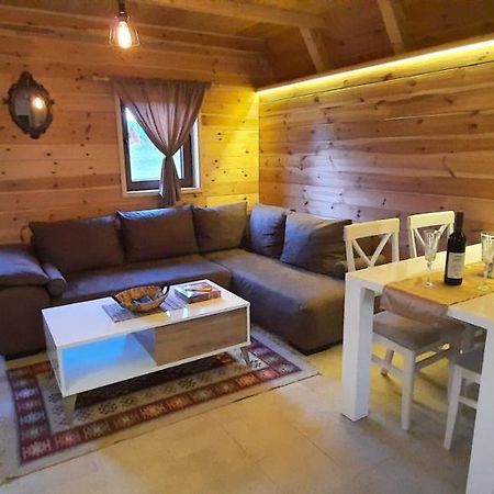 Mountain House Bjanka Villa ชาเบลียค ภายนอก รูปภาพ